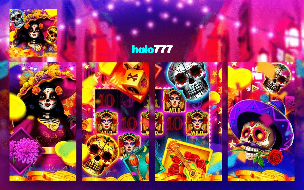 available types of halo777 bet including pre-match live express and system bets